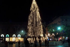 albero-con-catenarie-verdi